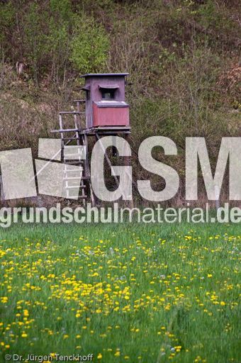 Hochstände (88 von 154).jpg